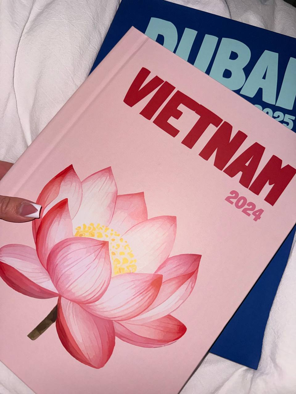 Розовая фотокнига о Вьетнаме поверх книги о Дубае